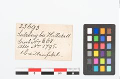 Etikett zu Bronzebrillenfibel (NHMW-PRAE-025693)